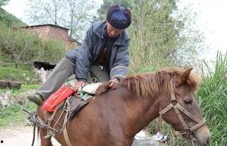 网红骑马爆料视频大全最新,揭秘马背上的精彩瞬间 第1张 网红骑马爆料视频大全最新,揭秘马背上的精彩瞬间 第1张